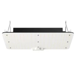 LED Vækstlys, 150W fuldspektrum dæmpbar, kraftfulde Samsung dioder til indendørs planter og drivhus. Daisy Chain driver til 3x3 ft telt.