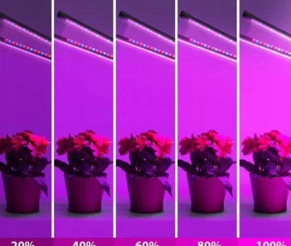 LED-lampe til dyrkning af planter, fuldspektret blomstervækst med klipsjustering