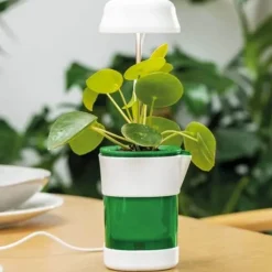 LED-plantelampe med selvvandende potte - fuldspektret plantebelysning