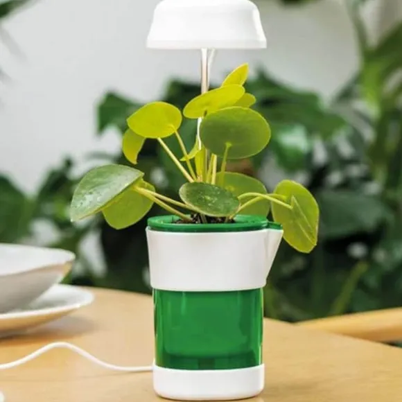 LED-plantelampe med selvvandende potte - fuldspektret plantebelysning