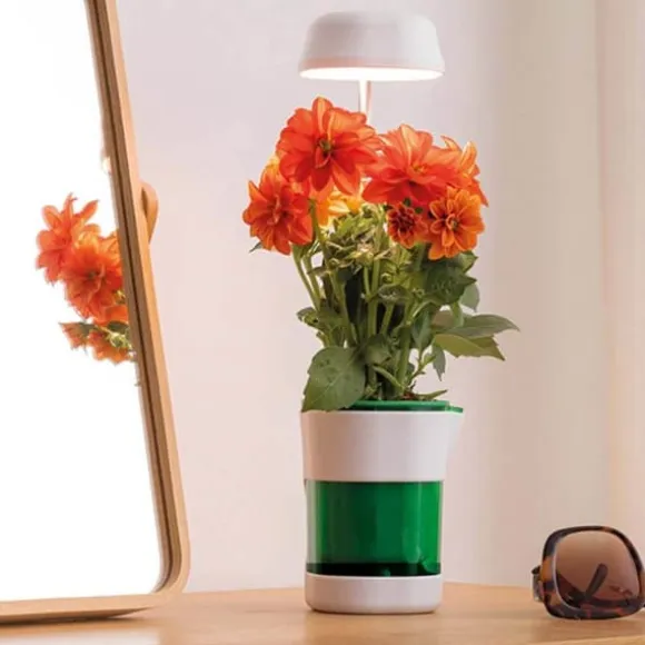 LED-plantelampe med selvvandende potte - fuldspektret plantebelysning