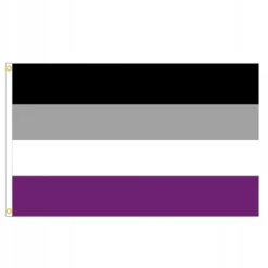 LGBT REGNBUEFLAG STOR 90x150cm ASEQUENTITY F10