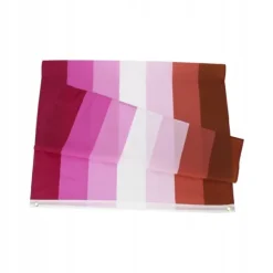 LGBT REGNBUEFLAG STOR 90x150cm LESBISK F5