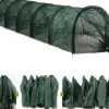 Lollanda Drivhustunnel, Plantegitter / Plantestøtte, 300x45 cm - 2-i-1, Grøntsager, Have