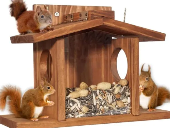 Lollanda Squirrel Feeder – Udendørs Egernfoderstation, Træ Egernfoder, holdbar og nem at fylde, med aftageligt frontpanel
