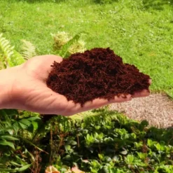 Løsne kokosfibre til planter og blomster 10mm 20L BIOVITA
