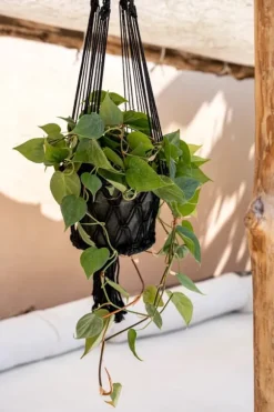 Macrame Planteholder - Sort - L