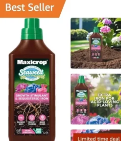 Maxicrop Organic 1L Iron & Seaweed Extract - Protects Plants from Yellowing