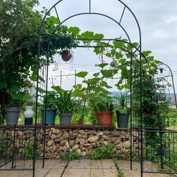Metal havebue til klatreplanter, holdbar sort bue til roser og vinstokke, perfekt til bryllup, fest og have 7,15 fod