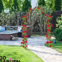 Metal havepergola til blomster, roser, klatreplanter, støtte, bue, ankre, have