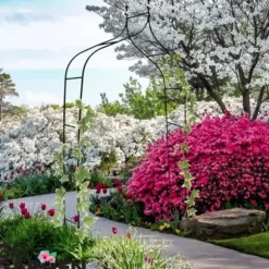 Metal havepergola til blomster, roser, klatreplanter, støtte, bue, ankre, have
