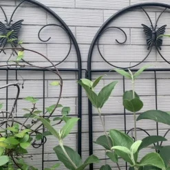 Metalgitter 2-pak til klatreplanter, støtte til potteplanter, stueplanter, blomster, grøntsager og havedekoration indendørs/udendørs