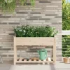 Moderne Blomsterkrukke i Massivt Fyrretræ med Hylde | Farve: Beige | Størrelse: 115 x 59 x 76.5 cm