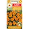 Morgenfrue, appelsin, HARVEST MOON, 1 g