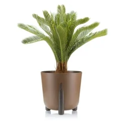 Moss ECO træ urtepotte, naturligt træ