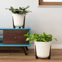 Moss ECO træ urtepotte, naturligt træ