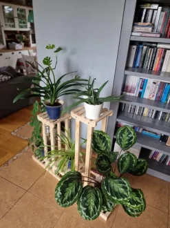 Multilevel plant stand 5-tier RKB /95x116x25/ Naturligt patineret