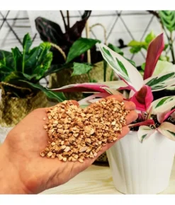Naturlig havebrugsvermiculit 1-5 mm 5 l