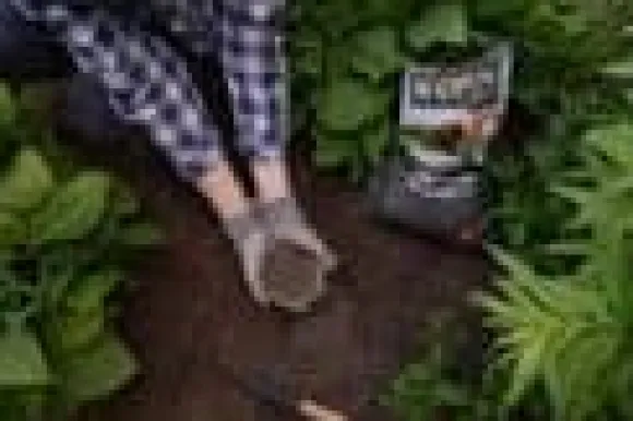 Naturlig kvæggødning Biopon 5L - Den perfekte gødning til din have