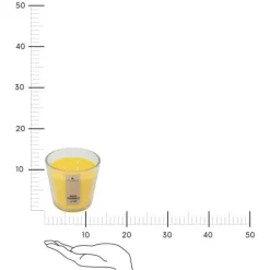 Nina Citronella duftlys 500g afviser myg