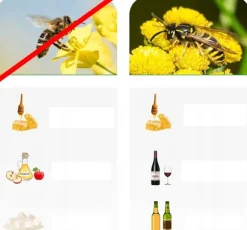 NoBzzz FÆLDE TIL HVEPSEFLUER 2 STK. GENBRUGELIG EFFEKTIV ANANAS