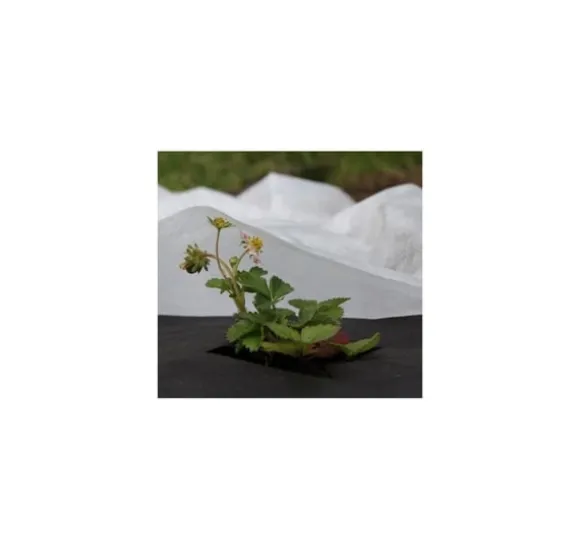 Non-woven 30g/m² vinter-forår, hvid, 1,1 x 10m, 5 stk.