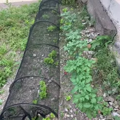 OBOSOE alsidig foldbar havetunnel med PVC-ramme og net – beskyttelse af grøntsager og frugt, hønsehegn og skyggenet
