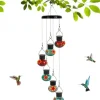 OBOSOE Solar Hummingbird Feeder med vindklokke – 6 lækagesikre glasdøre, matteret design og flerfarvet natlys