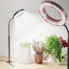 OBOSOE 50W Grow Light - 6000K Fuldspektret LED Grow Light med timer 4/8/12h og højdejustering - Perfekt til indendørs planter