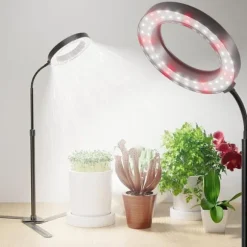 OBOSOE 50W Grow Light - 6000K Fuldspektret LED Grow Light med timer 4/8/12h og højdejustering - Perfekt til indendørs planter
