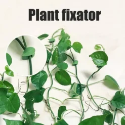 Pakke med 50 selvklæbende planteholdere, planteklemmer, klatreplanter, fastgørelsesklemmer til vægplanter til støtteplantning