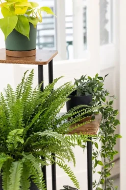 PALACE metal stående blomsterstander - sort stander til 5 blomsterpotter