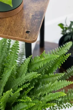 PALACE metal stående blomsterstander - sort stander til 5 blomsterpotter