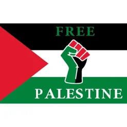 Palæstina flag 150*90 cm