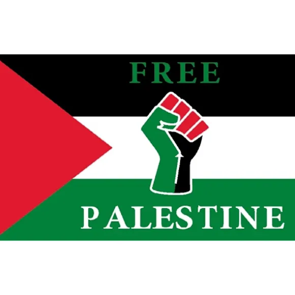 Palæstina flag 150*90 cm