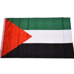 palæstinensisk flag