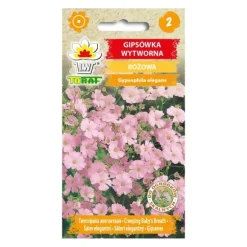 Pink sommerliljefrø - Let og luftig blomstring til blomsterbede og buketter