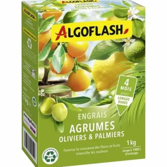 Plant fertiliser Algoflash Naturasol Olive tree Palm tree Citrus 1 kg