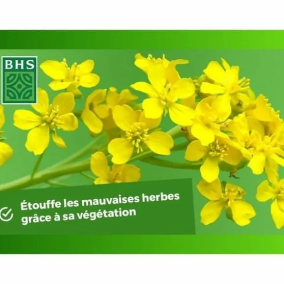 Plant fertiliser BHS 500 g