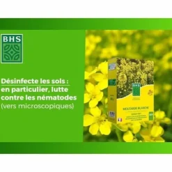 Plant fertiliser BHS 500 g