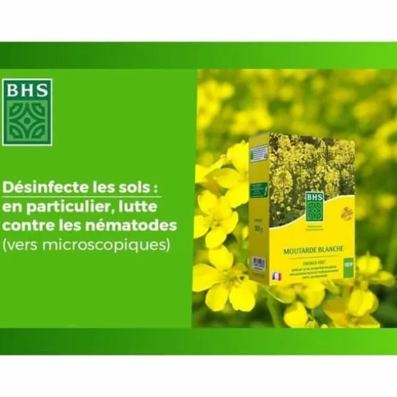 Plant fertiliser BHS 500 g