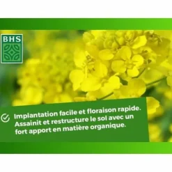 Plant fertiliser BHS 500 g