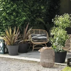 Plant pot Deroma