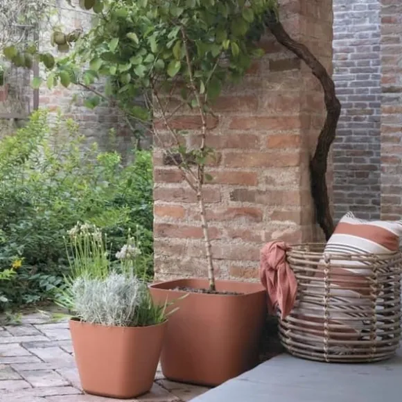Plant pot Deroma