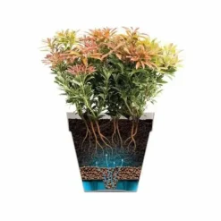 Plant pot Elho