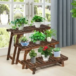 Plante Hyldereol, 70×25×15 cm, Naturlig