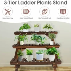 Plante Hyldereol, 70×25×15 cm, Naturlig