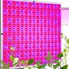 Plantebelysning 225 LED Panel | Dyrkningslampe for optimal planteudvikling