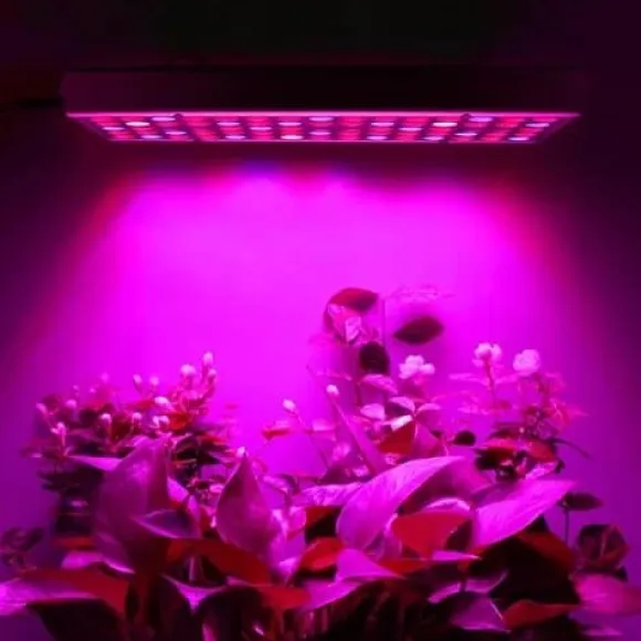 Plantebelysning 225 LED Panel | Dyrkningslampe for optimal planteudvikling