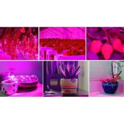 Plantebelysning 225 LED Panel | Dyrkningslampe for optimal planteudvikling